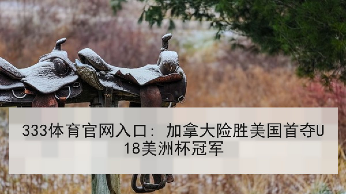 333体育官网入口: 加拿大险胜美国首夺U18美洲杯冠军