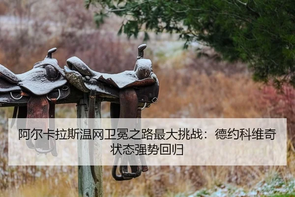 a-er-ka-la-si-wen-wang-wei-mian-zhi-lu-zui-da-tiao-zhan-de-yue-ke-wei-qi-zhuang-tai-qiang-shi-hui-gui-2-451.jpg