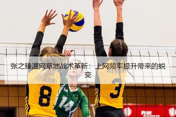 张之臻温网草地战术革新：上网频率提升带来的蜕变