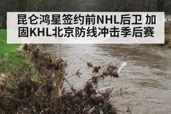 昆仑鸿星签约前NHL后卫 加固KHL北京防线冲击季后赛